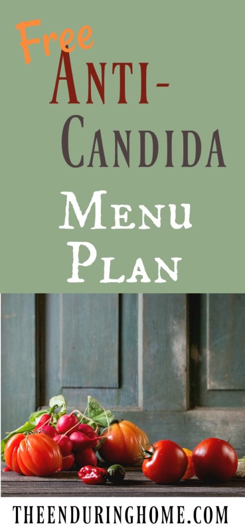 Anti Candida, menu plan, meal plan Candida, No Sugar, No Carbs, Sugar Free Menu Plan, No Candida diet 
