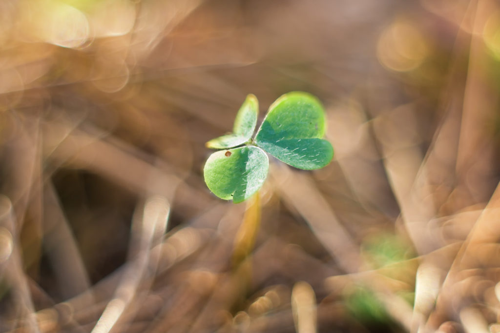 St Patrick, Celebrate St. Patrick's Day, Children and Saint Patrick, Eastern Orthodox Saints, Make St. Patrick's Day Meaningful